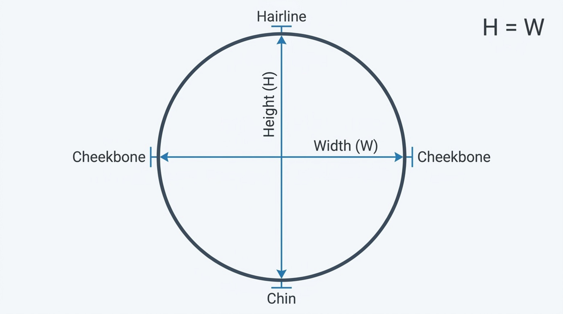 A diagram illustrating face measurement lines on a round face outline with clear dimension markers and guide lines.