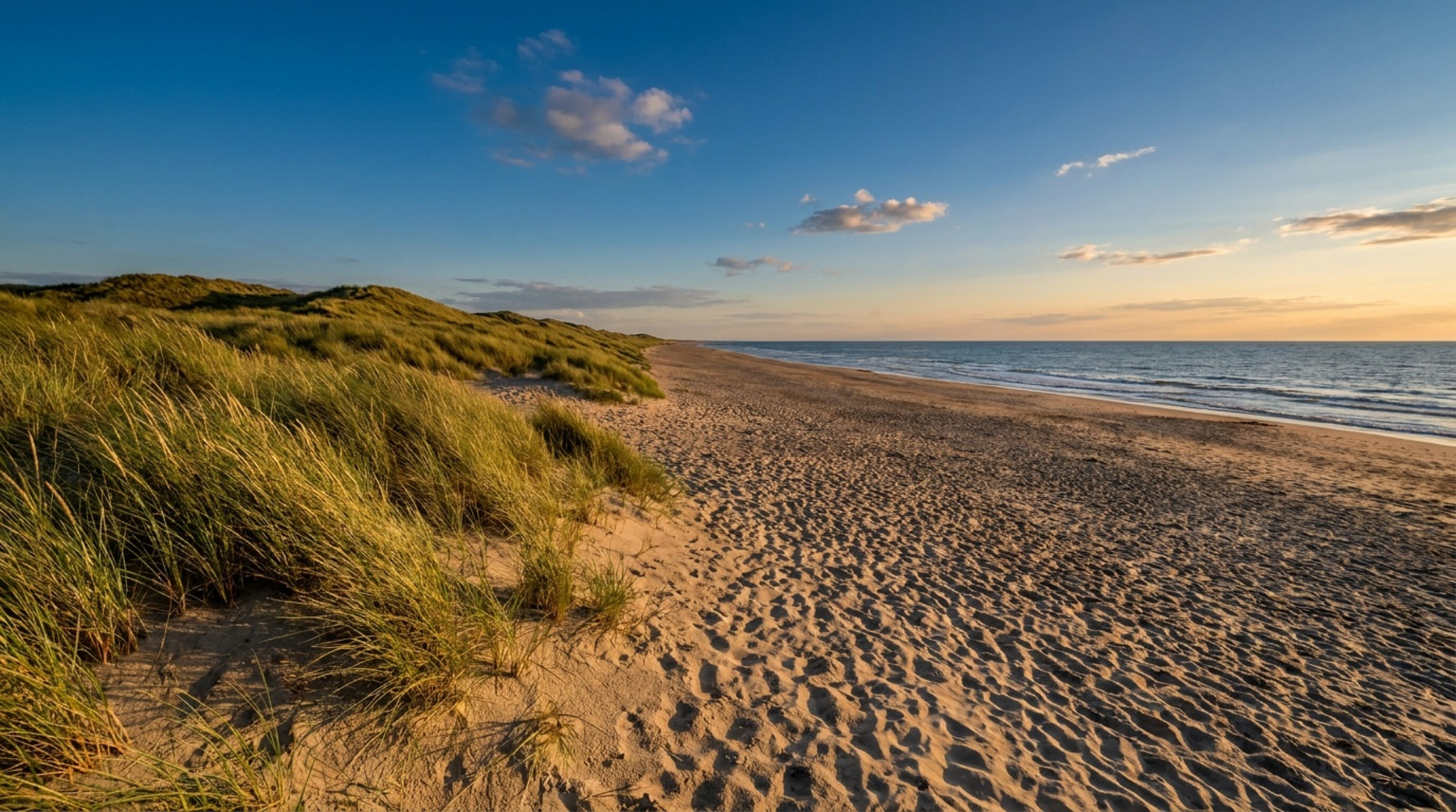 Weite Aufnahme der niederländischen Küste mit goldenem Sandstrand und sanften Dünen unter klarem Himmel.